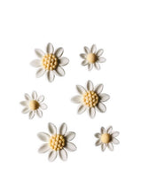 Load image into Gallery viewer, Edible Daisies & Sprinkles