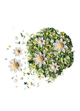 Load image into Gallery viewer, Edible Daisies & Sprinkles