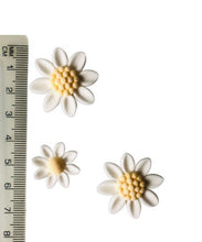 Load image into Gallery viewer, Edible Daisies &amp; Sprinkles
